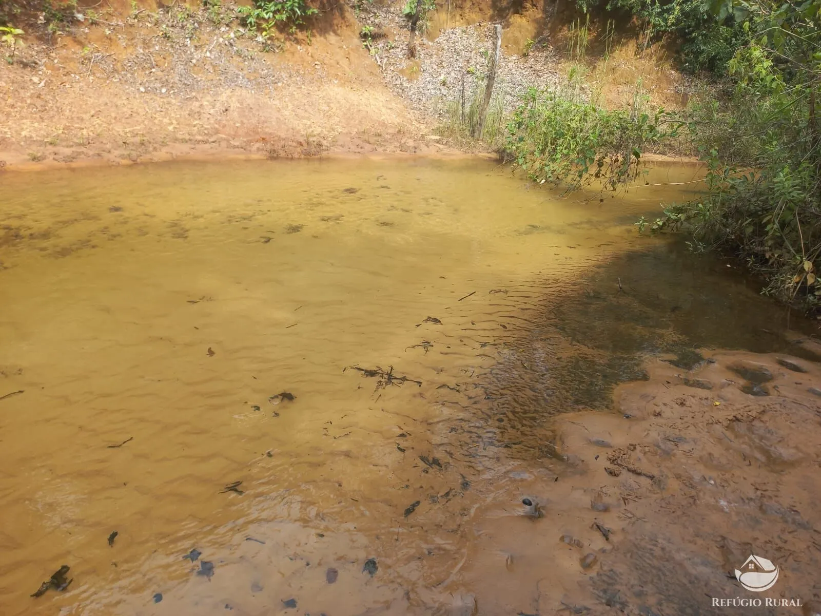 Fazenda à venda de 279 ha em Figueirão, MS, Brasil