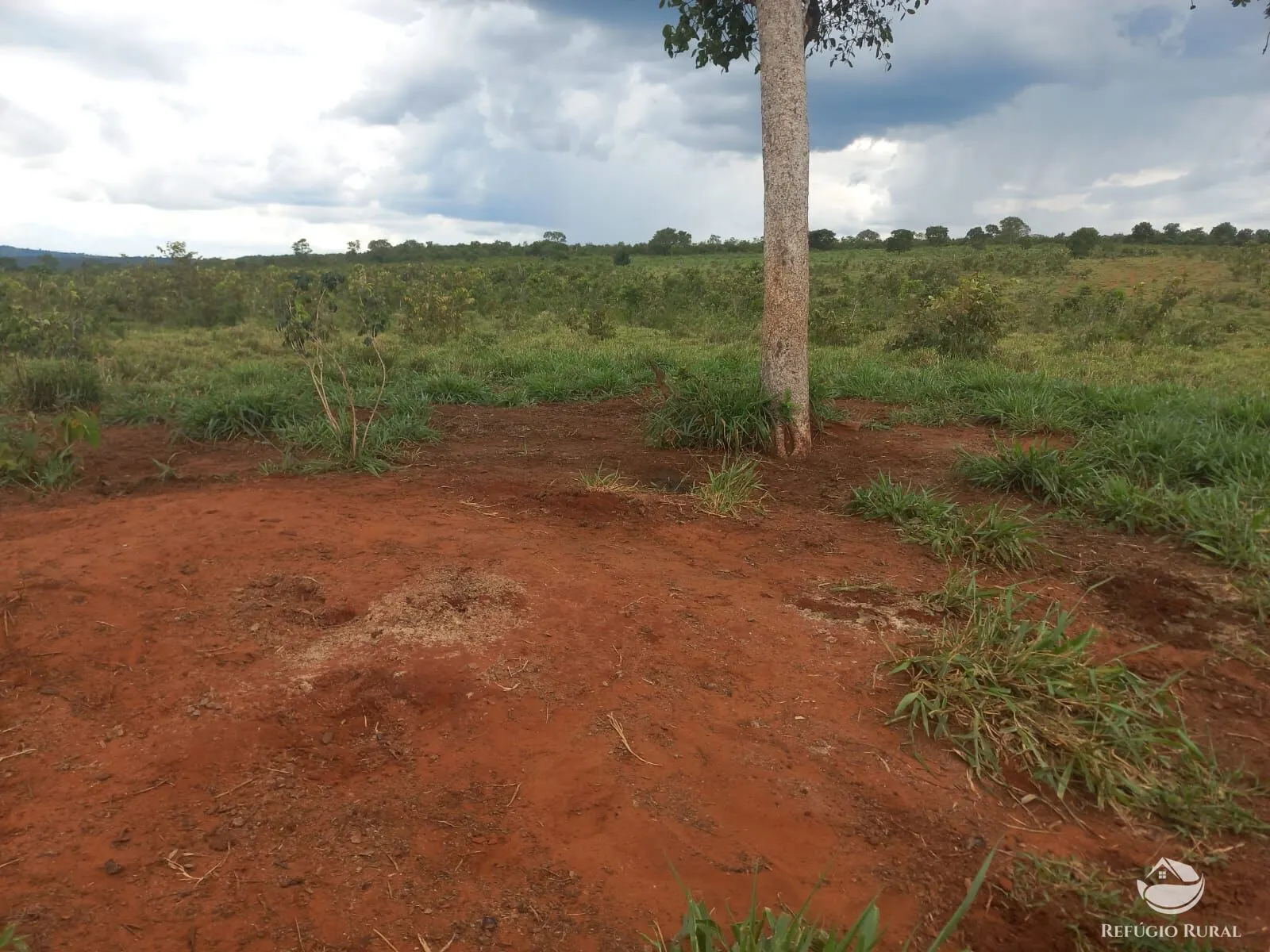 Fazenda à venda de 279 ha em Figueirão, MS, Brasil