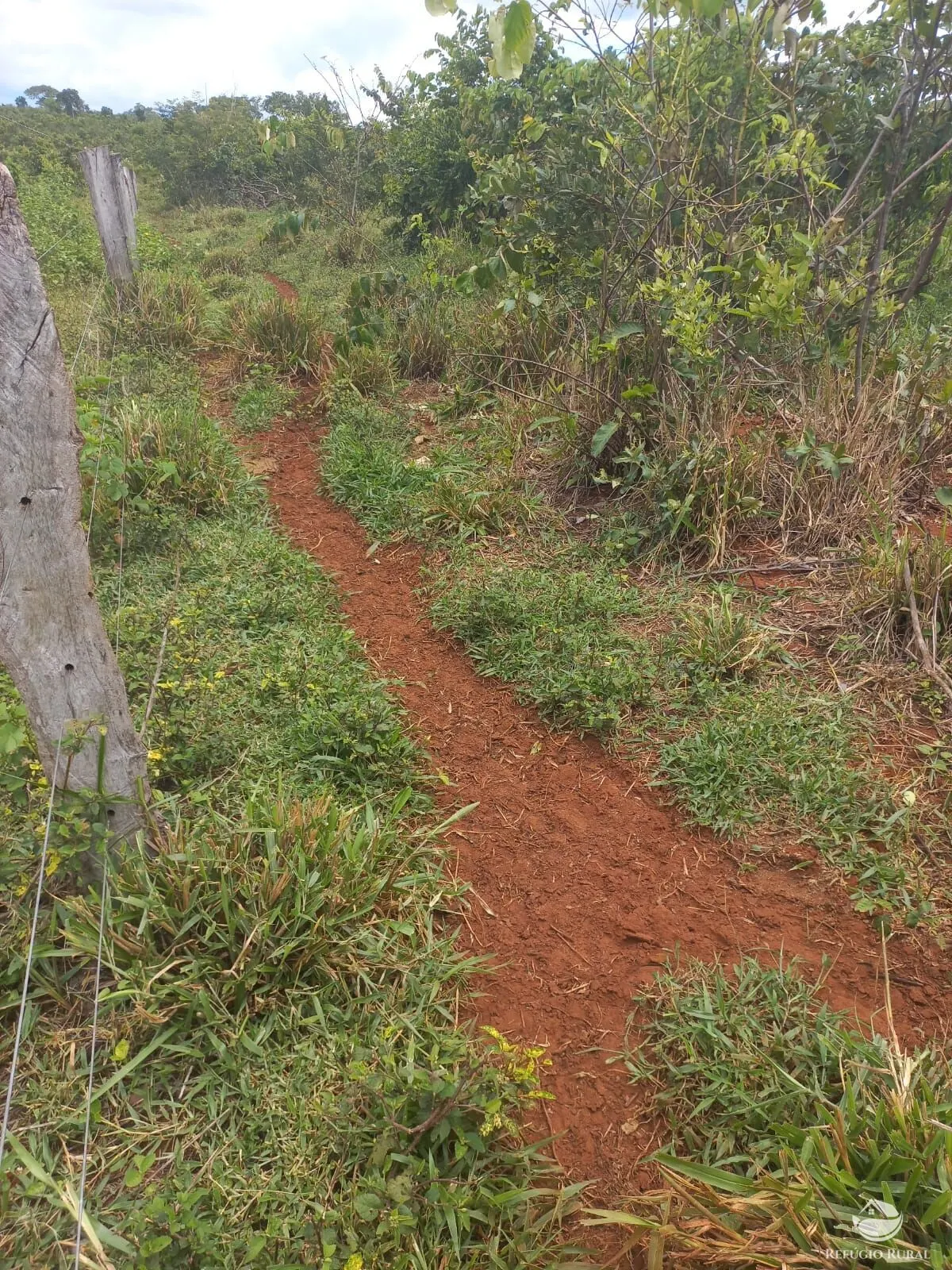 Fazenda à venda de 279 ha em Figueirão, MS, Brasil