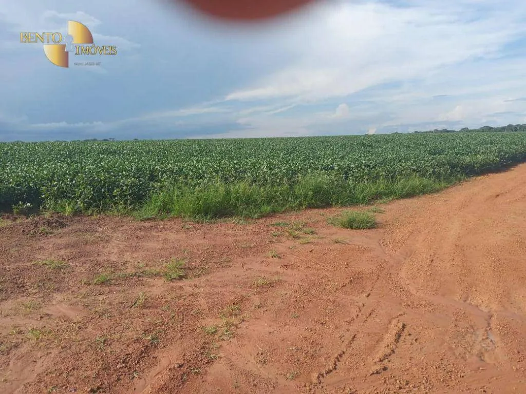 Fazenda à venda de 1.486 ha em Nova Mutum, MT, Brasil