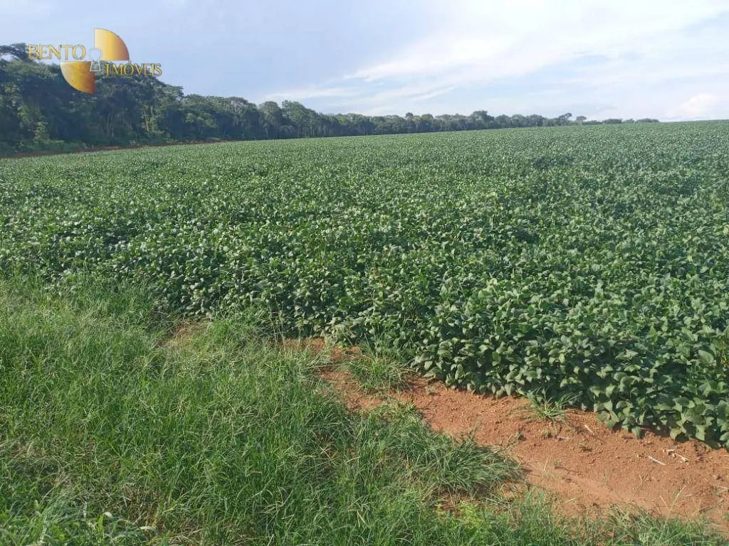 Fazenda à venda de 1.486 ha em Nova Mutum, MT, Brasil