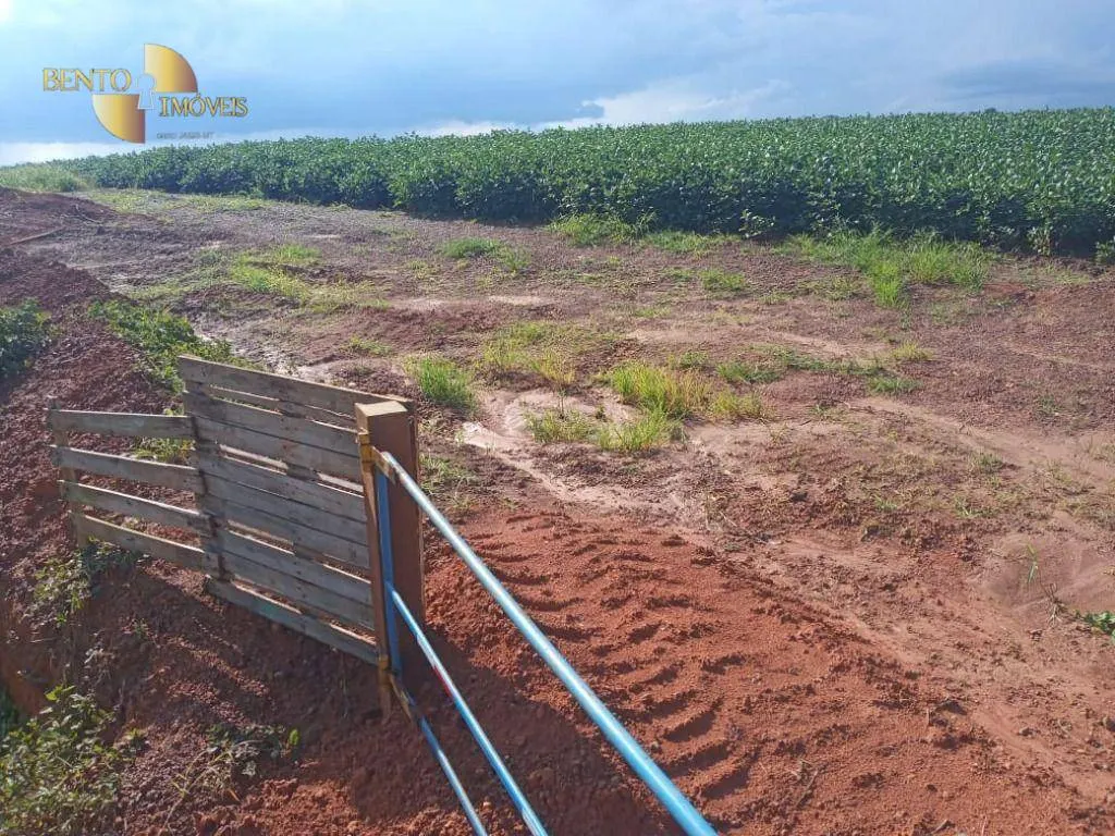 Fazenda à venda de 1.486 ha em Nova Mutum, MT, Brasil