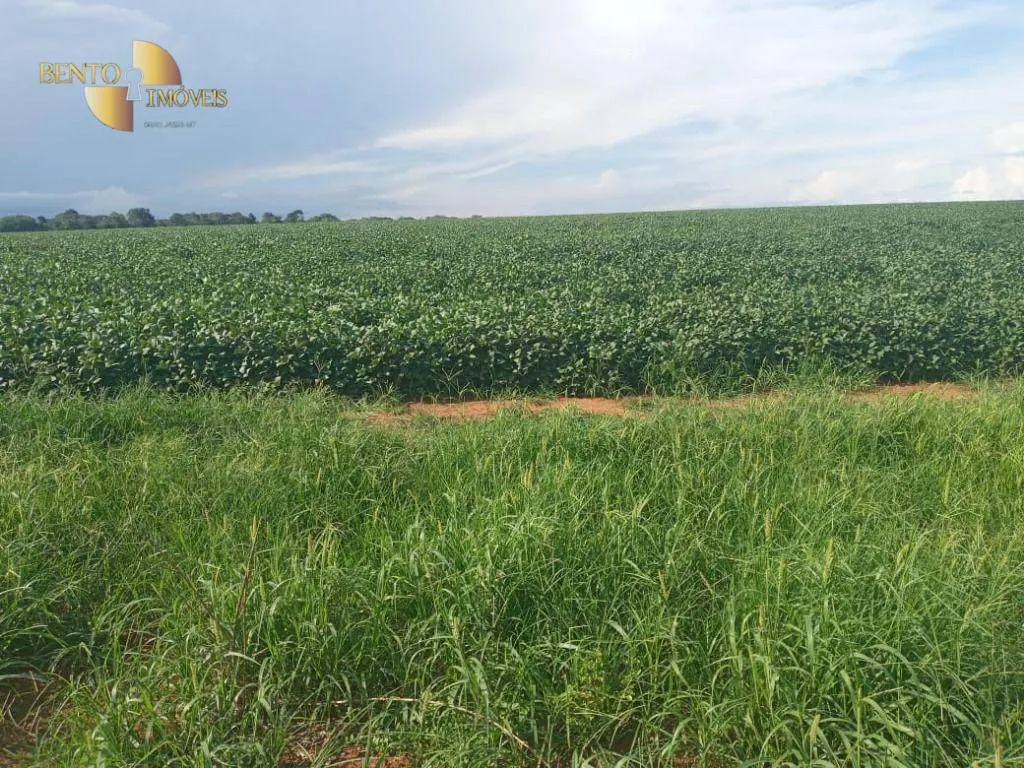 Fazenda à venda de 1.486 ha em Nova Mutum, MT, Brasil