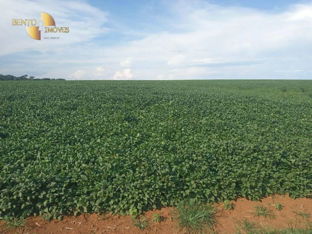 Fazenda à venda de 1.486 ha em Nova Mutum, MT, Brasil