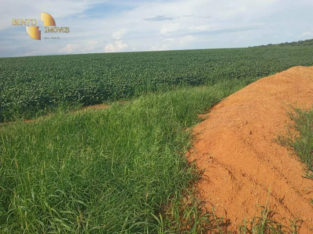 Fazenda à venda de 1.486 ha em Nova Mutum, MT, Brasil