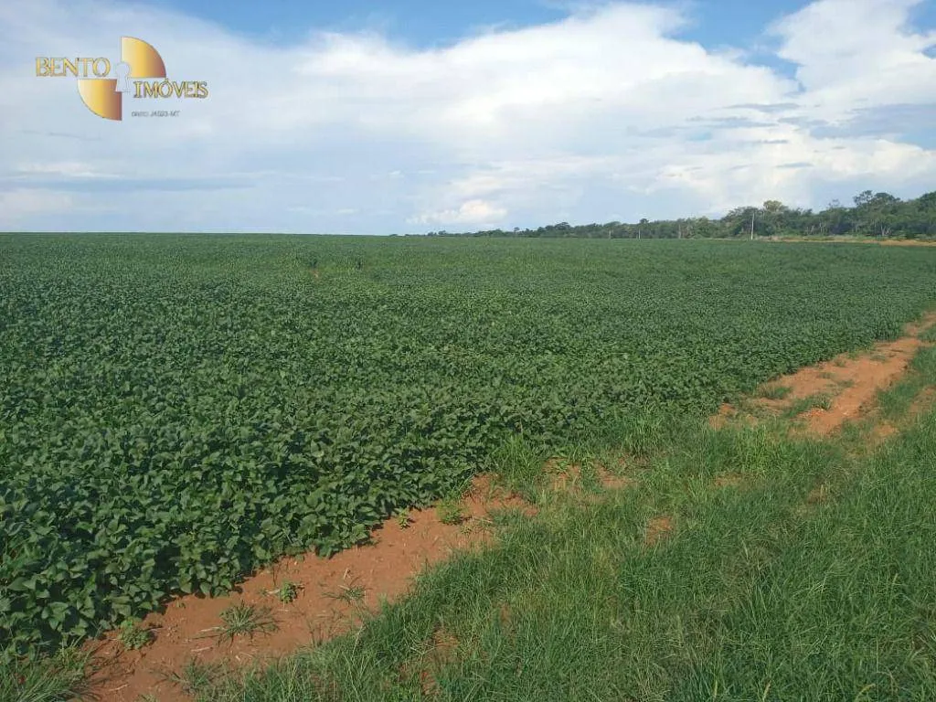Fazenda à venda de 1.486 ha em Nova Mutum, MT, Brasil