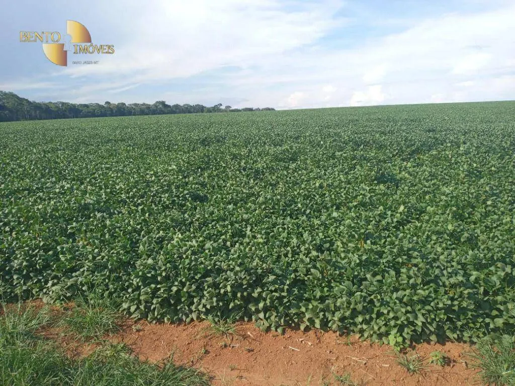 Fazenda à venda de 1.486 ha em Nova Mutum, MT, Brasil