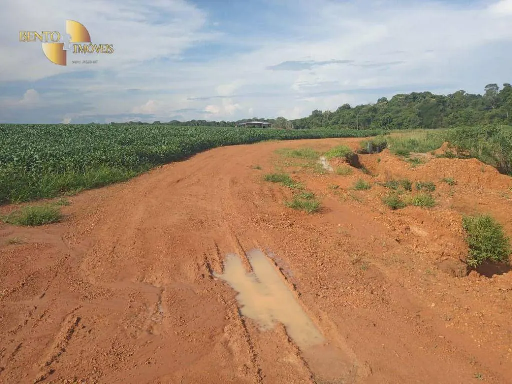 Fazenda à venda de 1.486 ha em Nova Mutum, MT, Brasil