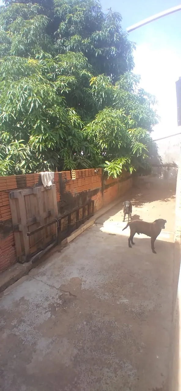 Casa à venda de 300 m² em Americana, SP, Brasil