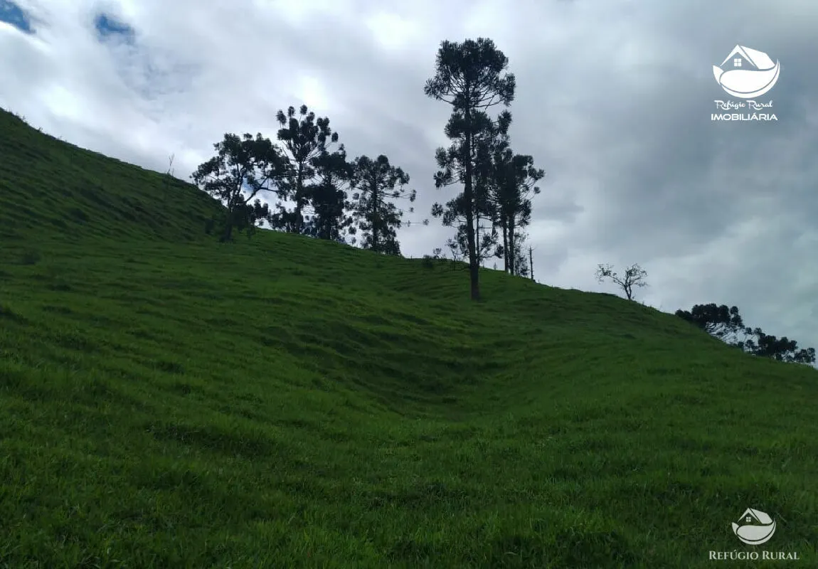 Small farm for sale of 67 acres in São José dos Campos, SP, Brazil