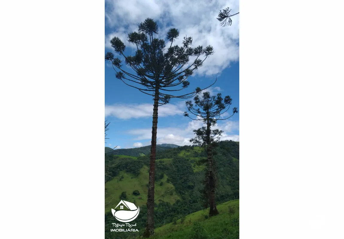 Small farm for sale of 67 acres in São José dos Campos, SP, Brazil