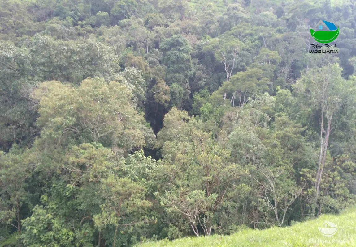 Small farm for sale of 67 acres in São José dos Campos, SP, Brazil