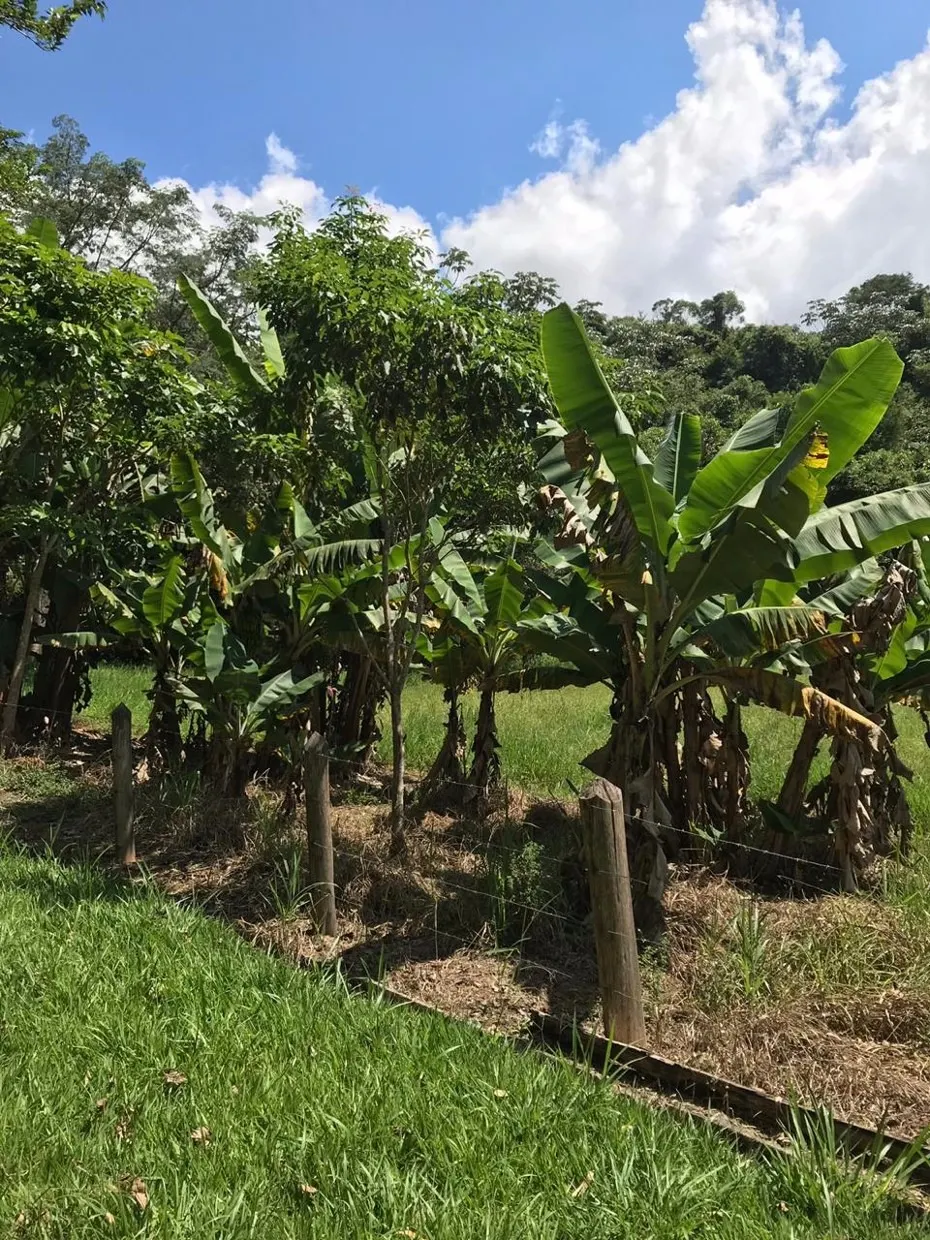 Small farm for sale of 84 acres in Redenção da Serra, SP, Brazil