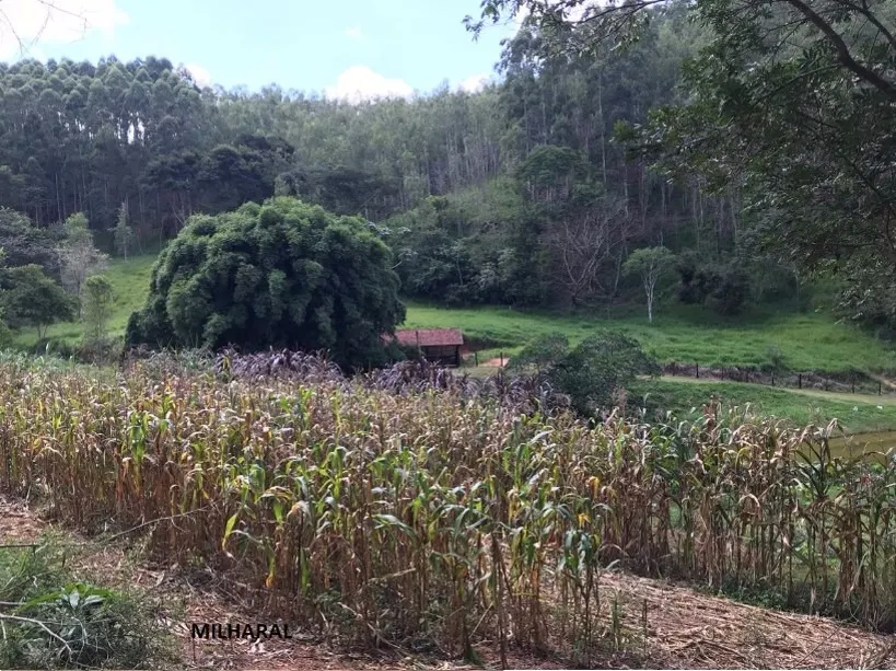 Small farm for sale of 84 acres in Redenção da Serra, SP, Brazil