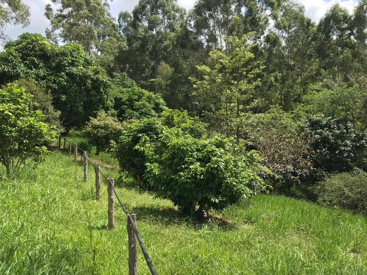 Small farm for sale of 84 acres in Redenção da Serra, SP, Brazil