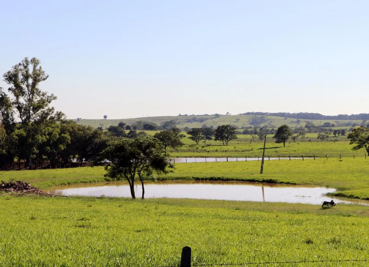 Sítio à venda de 48 ha em Pereiras, SP, Brasil