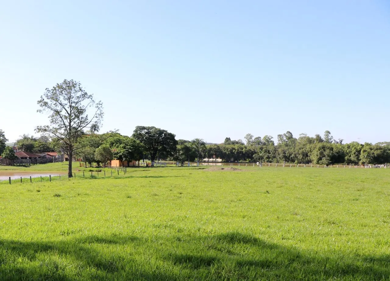 Sítio à venda de 48 ha em Pereiras, SP, Brasil