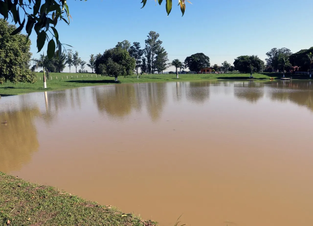 Sítio à venda de 48 ha em Pereiras, SP, Brasil
