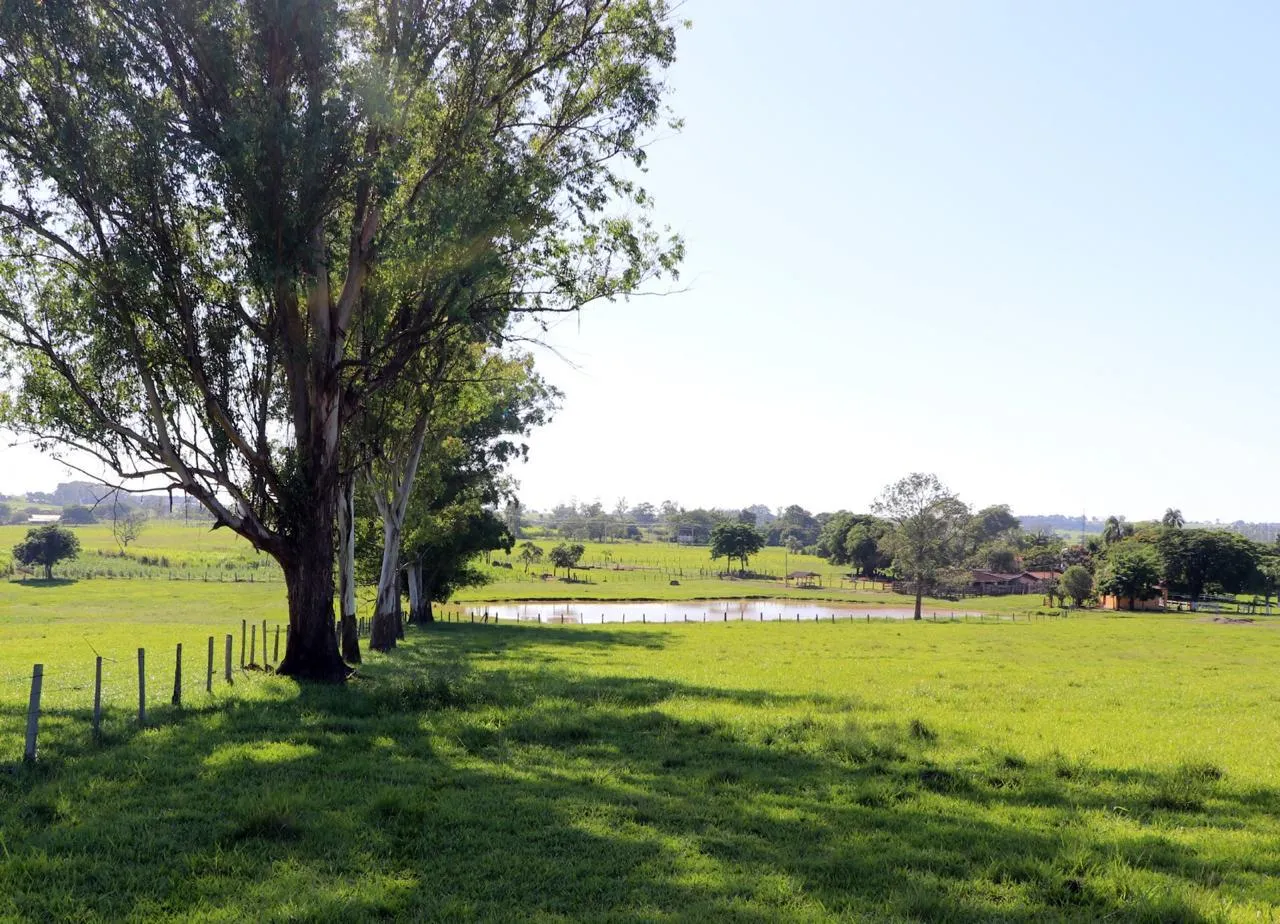 Sítio à venda de 48 ha em Pereiras, SP, Brasil