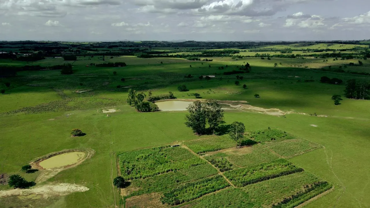 Sítio à venda de 48 ha em Pereiras, SP, Brasil