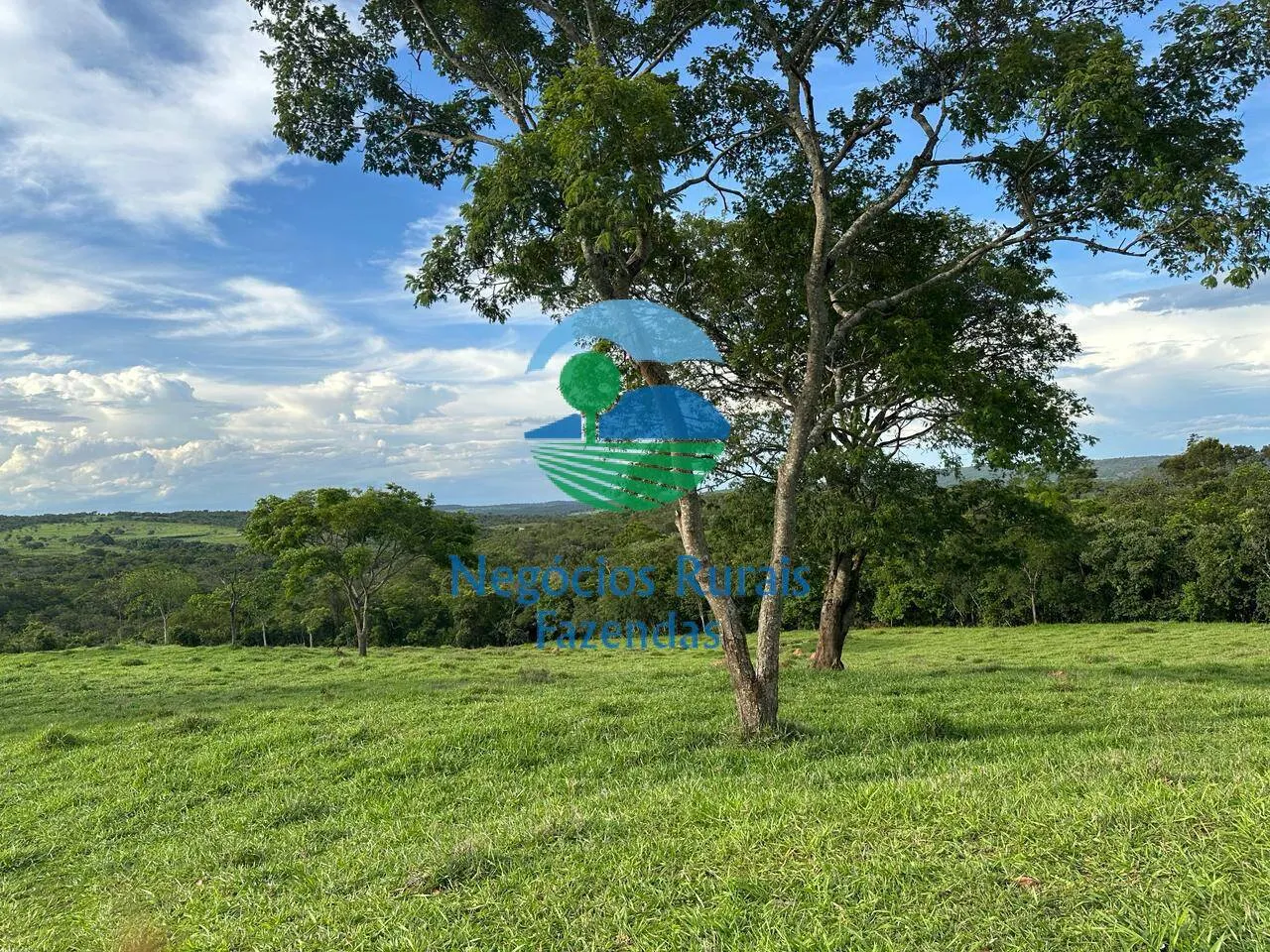 Fazenda à venda de 469 ha em Urutaí, GO, Brasil