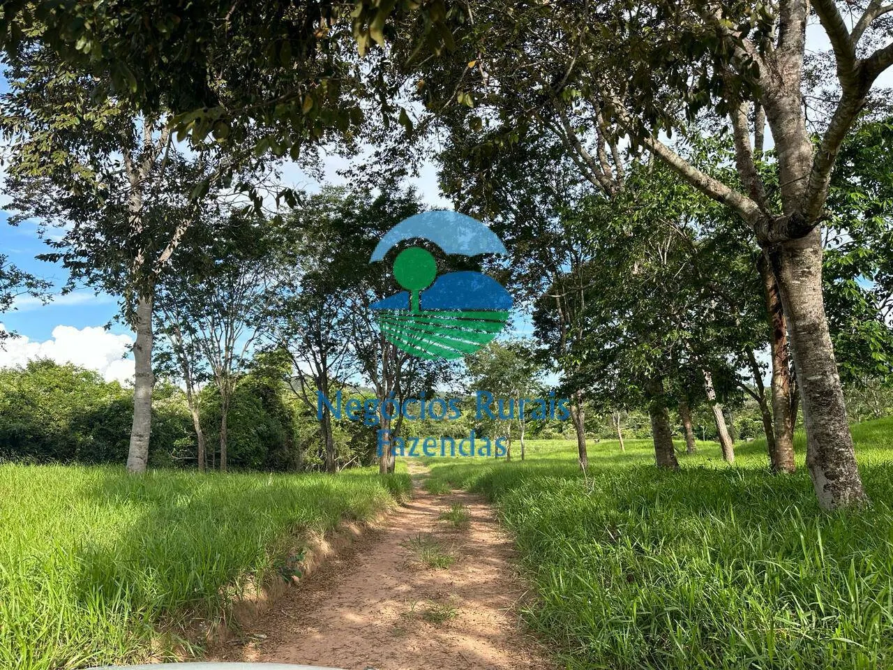 Fazenda à venda de 469 ha em Urutaí, GO, Brasil