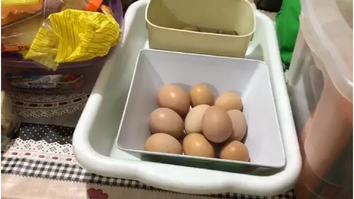 Sítio à venda de 4 ha em Santo Antônio da Patrulha, RS, Brasil