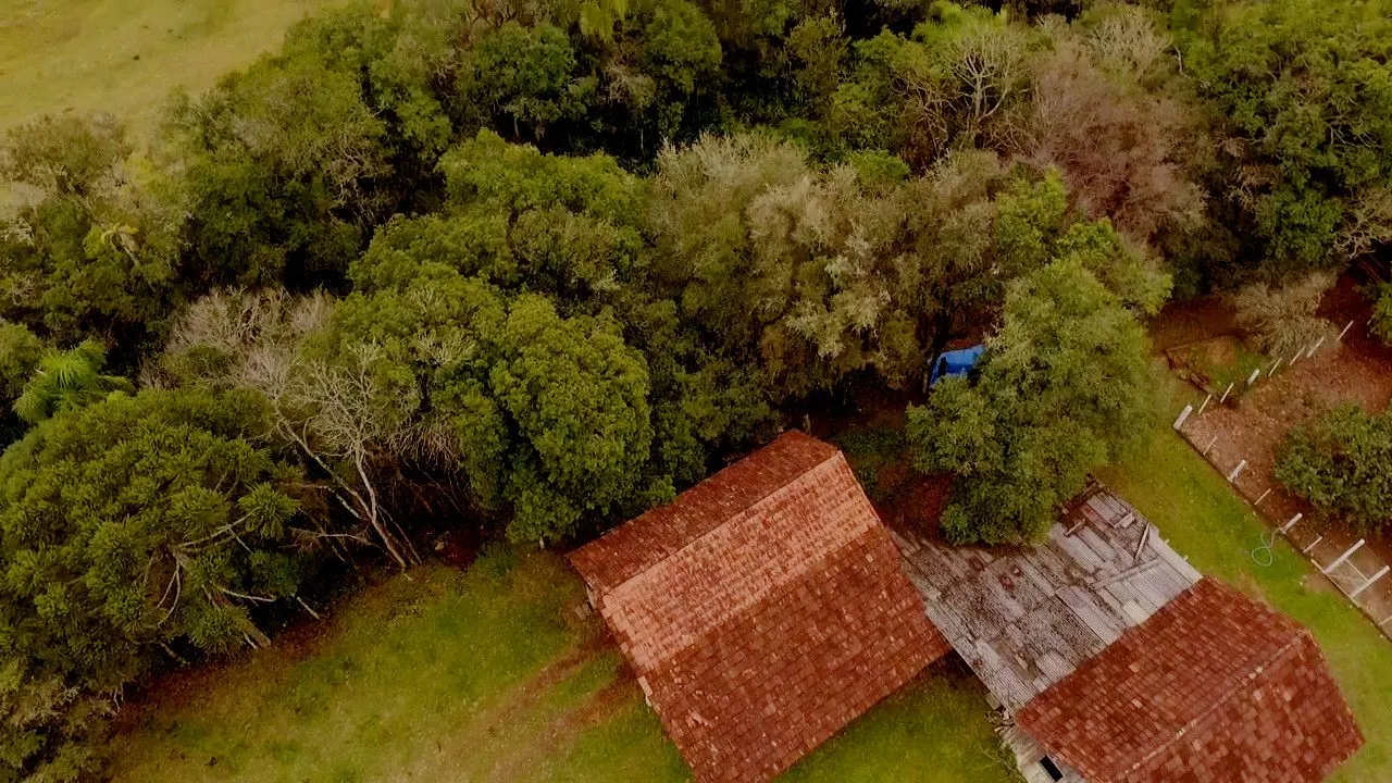 Sítio à venda de 4 ha em Santo Antônio da Patrulha, RS, Brasil