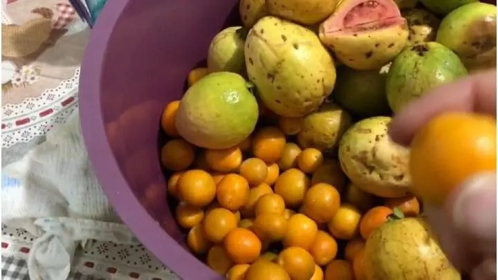 Sítio à venda de 4 ha em Santo Antônio da Patrulha, RS, Brasil