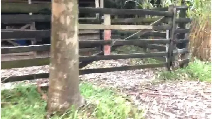 Sítio à venda de 4 ha em Santo Antônio da Patrulha, RS, Brasil