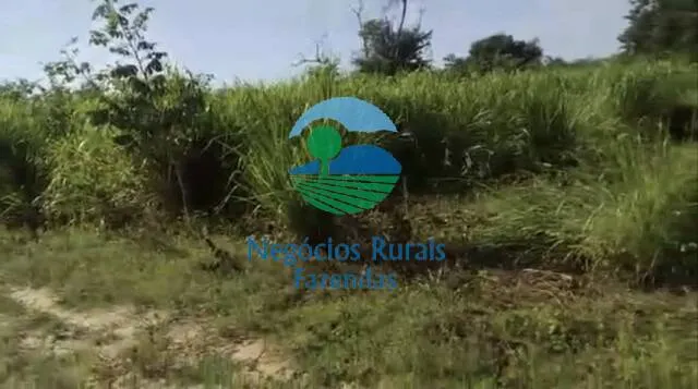 Fazenda à venda de 406 ha em São Salvador do Tocantins, TO, Brasil