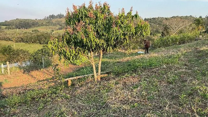 Country home for sale of 1,900 m² in Santo Antônio da Patrulha, RS, Brazil