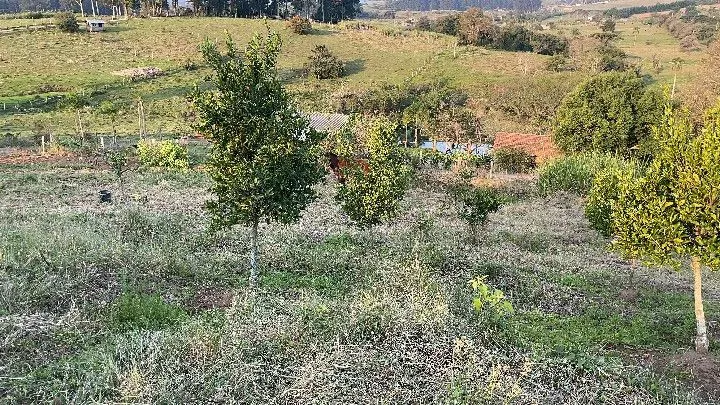 Country home for sale of 1,900 m² in Santo Antônio da Patrulha, RS, Brazil