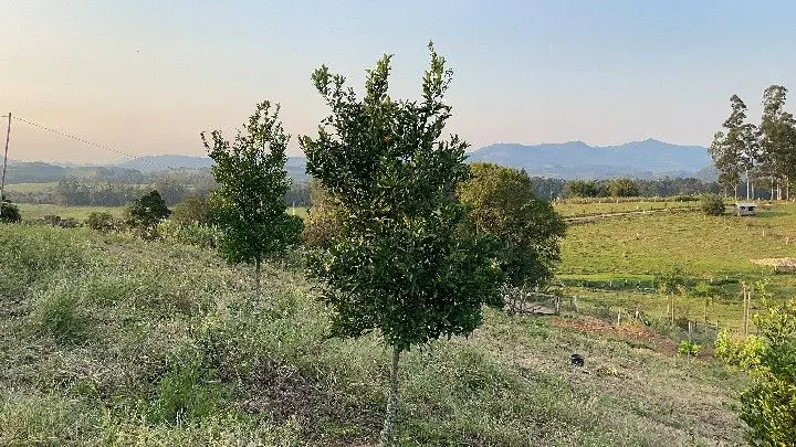 Country home for sale of 1,900 m² in Santo Antônio da Patrulha, RS, Brazil