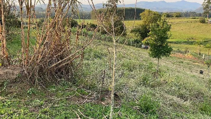 Country home for sale of 1,900 m² in Santo Antônio da Patrulha, RS, Brazil