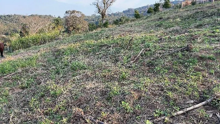 Country home for sale of 1,900 m² in Santo Antônio da Patrulha, RS, Brazil