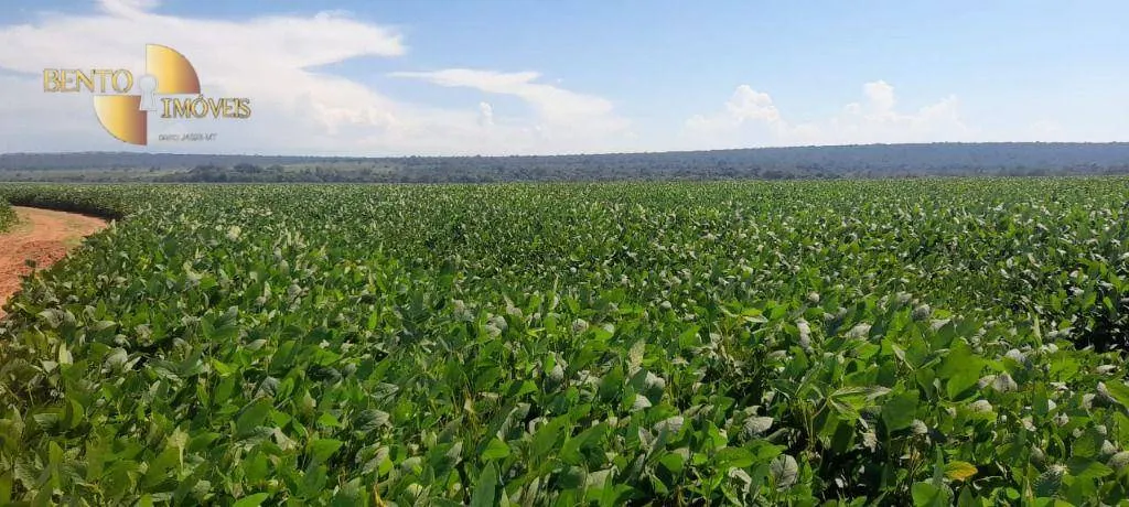 Fazenda à venda de 1.400 ha em Primavera do Leste, MT, Brasil