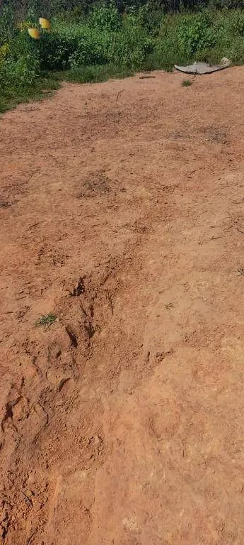 Fazenda à venda de 1.400 ha em Primavera do Leste, MT, Brasil