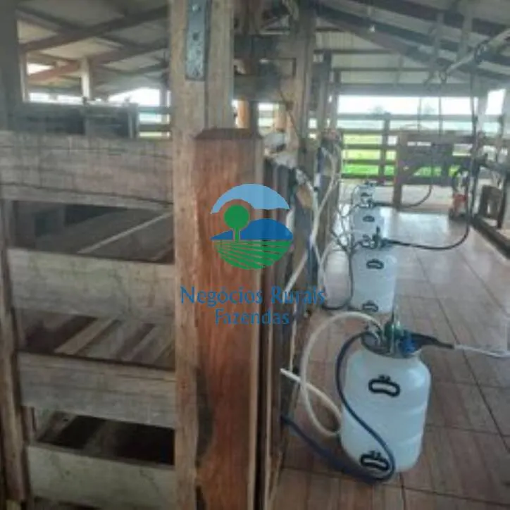Sítio à venda de 58 ha em Porto Velho, RO, Brasil