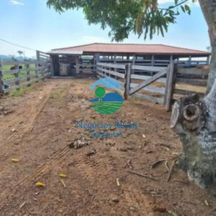 Sítio à venda de 58 ha em Porto Velho, RO, Brasil