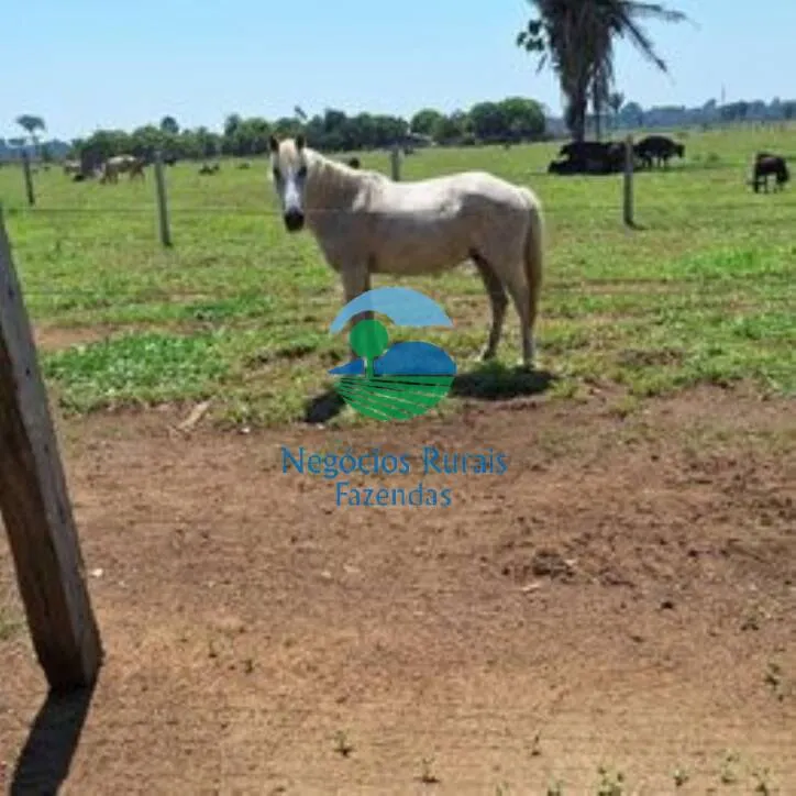 Sítio à venda de 58 ha em Porto Velho, RO, Brasil
