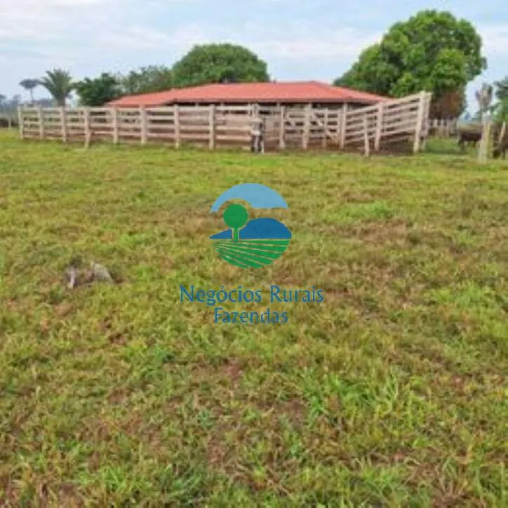 Sítio à venda de 58 ha em Porto Velho, RO, Brasil