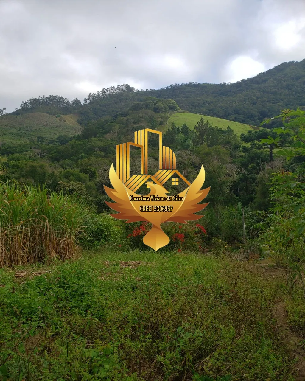 Small farm for sale of 81 acres in São Luiz do Paraitinga, SP, Brazil
