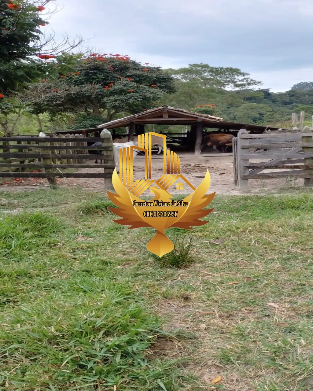 Small farm for sale of 81 acres in São Luiz do Paraitinga, SP, Brazil