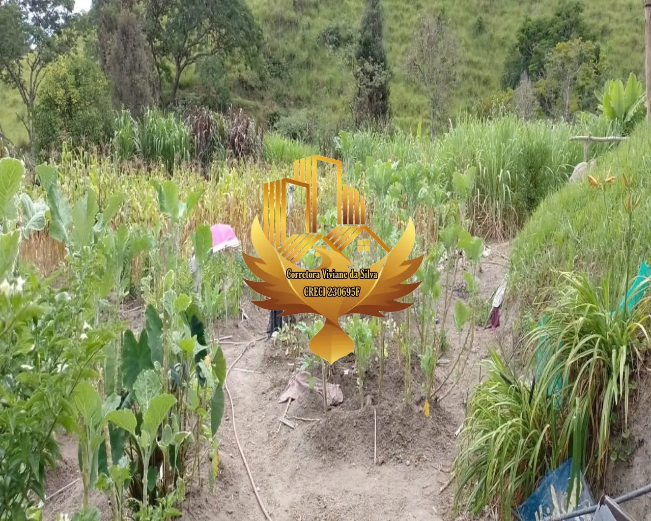 Small farm for sale of 81 acres in São Luiz do Paraitinga, SP, Brazil