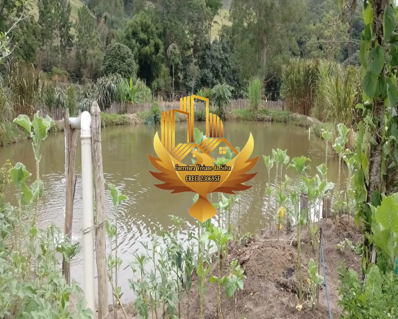 Small farm for sale of 81 acres in São Luiz do Paraitinga, SP, Brazil