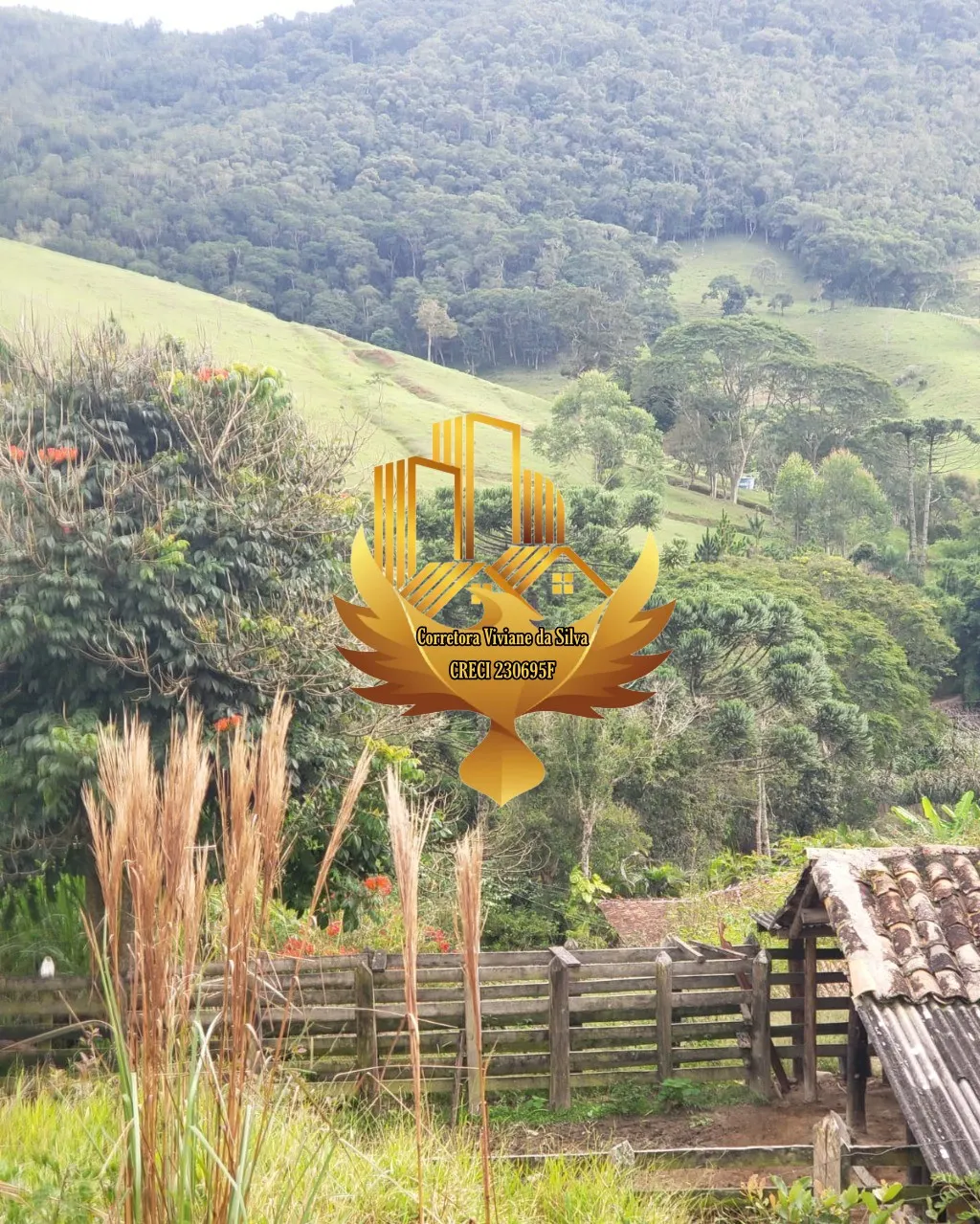 Small farm for sale of 81 acres in São Luiz do Paraitinga, SP, Brazil