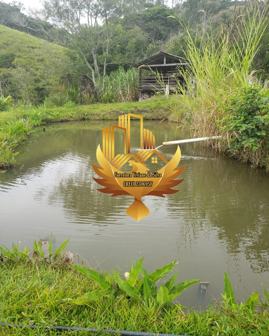 Small farm for sale of 81 acres in São Luiz do Paraitinga, SP, Brazil