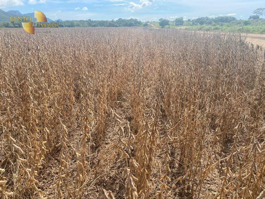 Fazenda à venda e para Arrendar de 2.400 ha em Jangada, MT, Brasil