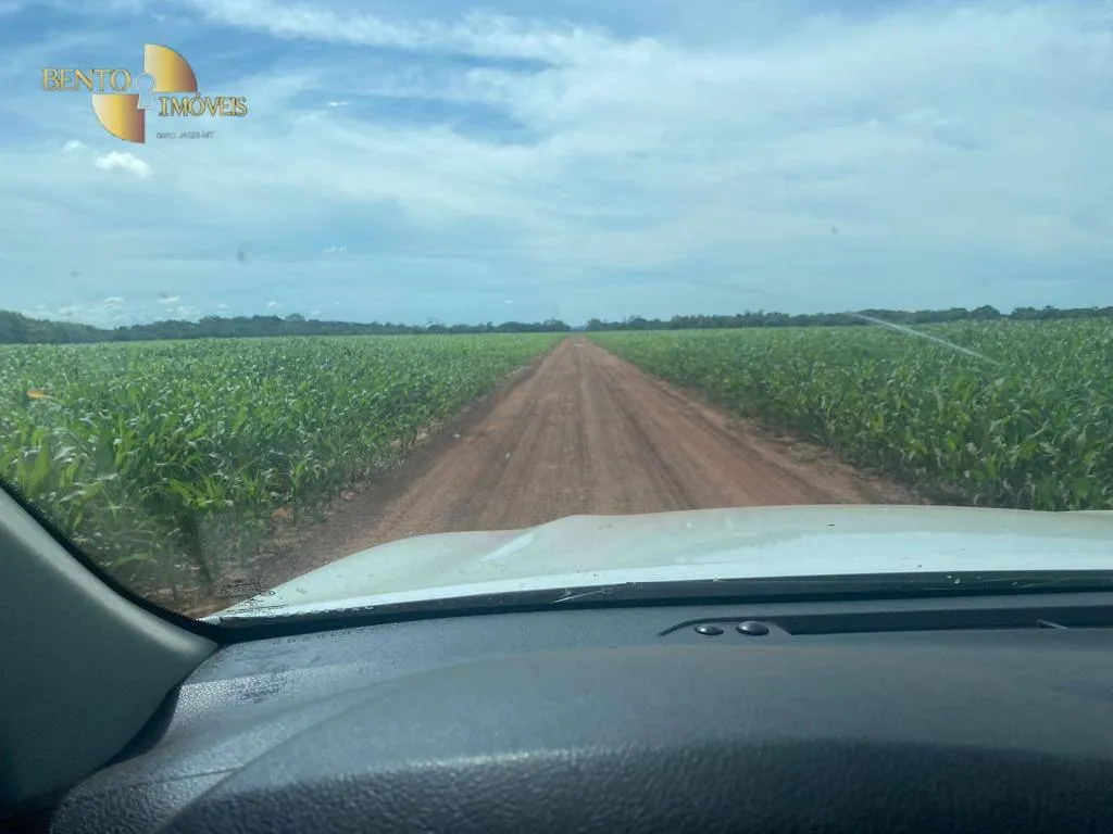 Fazenda à venda e para Arrendar de 2.400 ha em Jangada, MT, Brasil